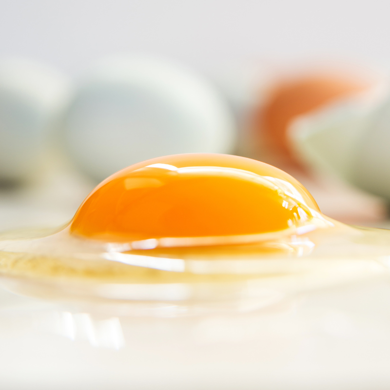 Life Extension Europe: Closeup of egg yolk